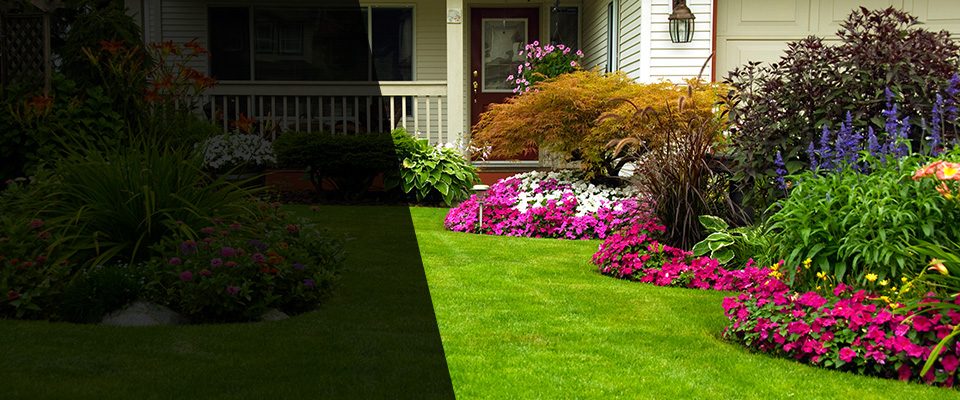 Buna Landscapers