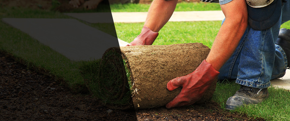Buna Landscapers